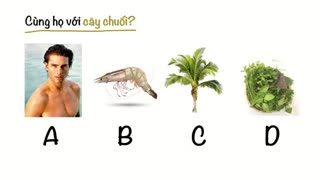 title